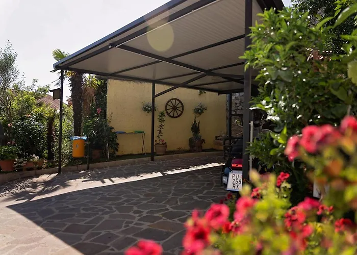 Ivana * 브르사르